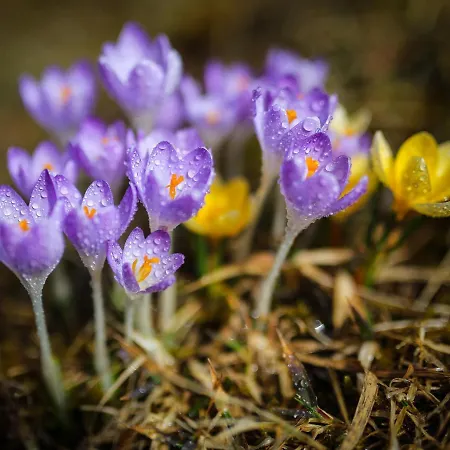 Lettmaierhof Gasthuis Haus im Ennstal