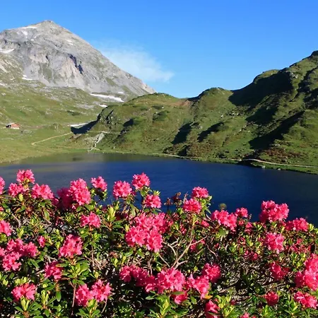 Lettmaierhof Gasthuis 4*