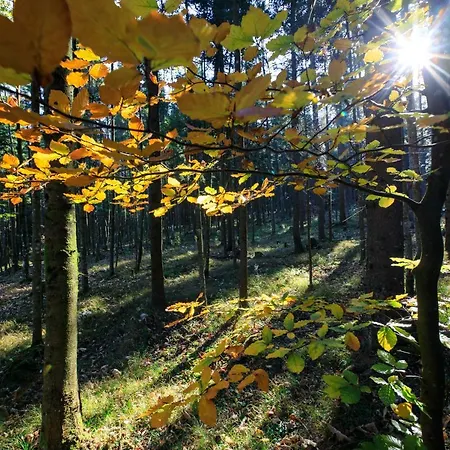 Lettmaierhof Gasthuis
