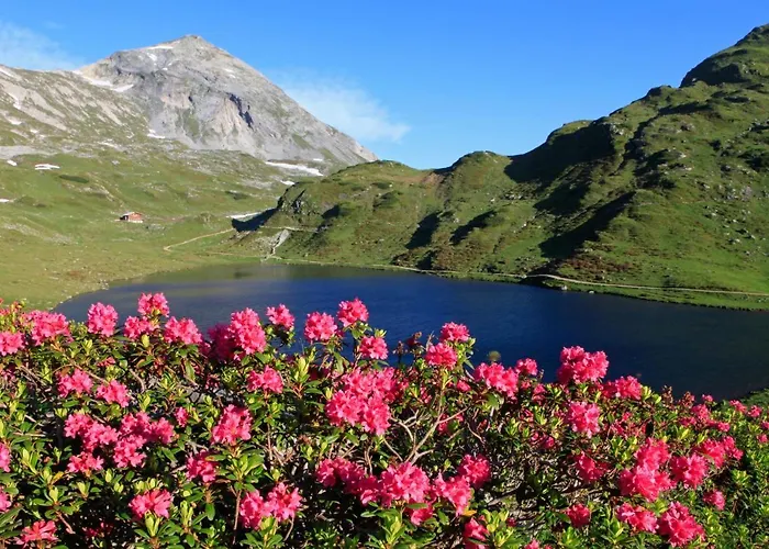 Lettmaierhof Pensión 4*