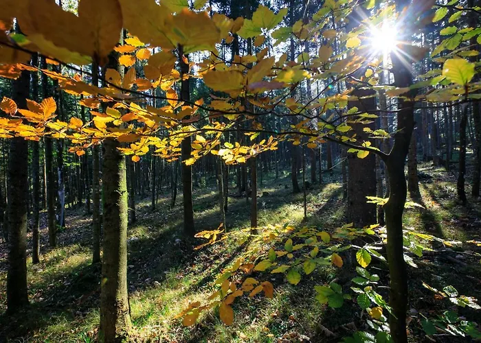 Lettmaierhof Pensión